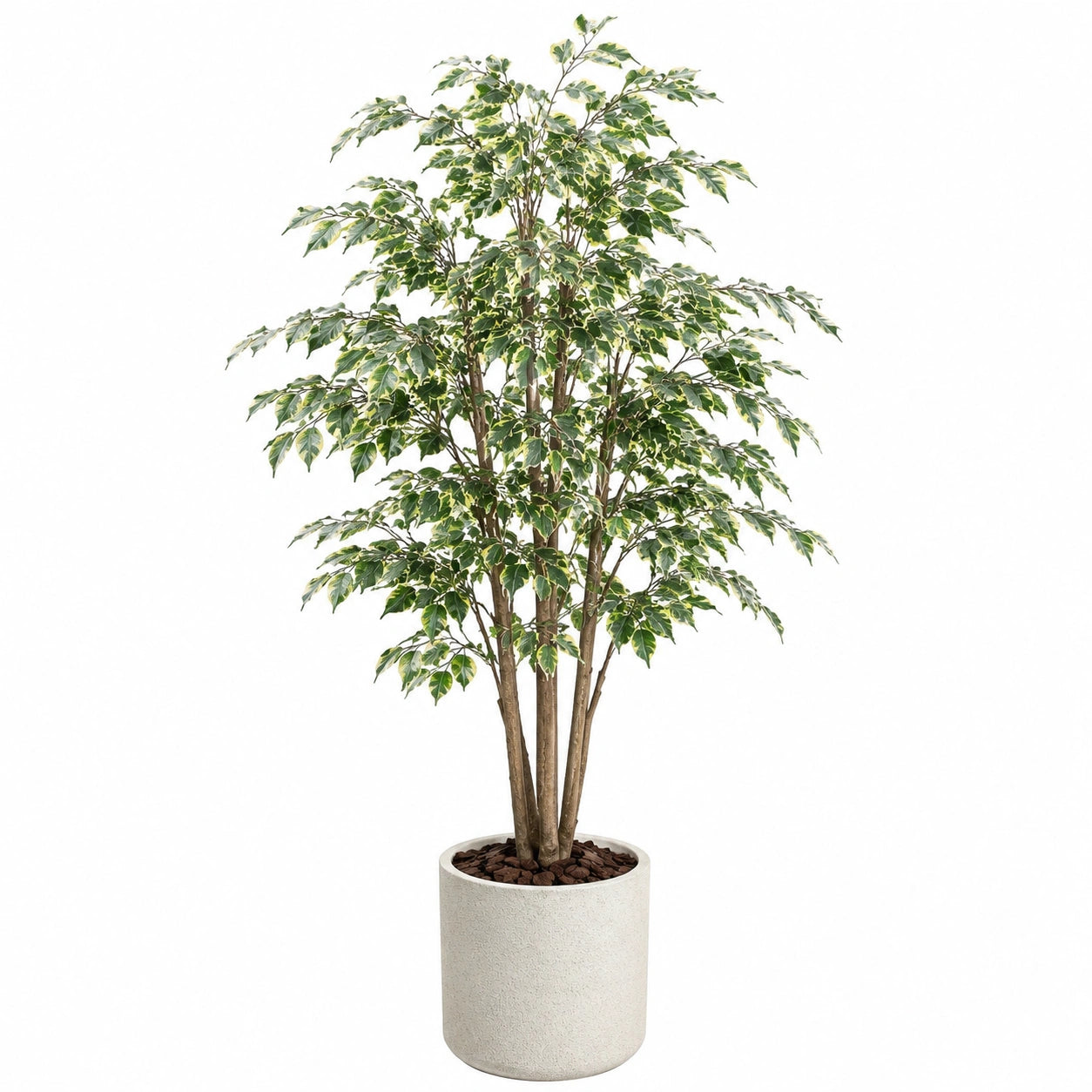 Plante artificielle ficus 180 cm vert crème en polyéthylène pour intérieur décoratif