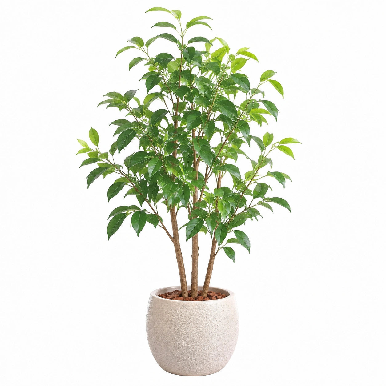 Plante artificielle ficus 180 cm feuillage synthétique vert avec pot beige pour intérieur