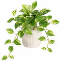 Plante verte artificielle en pot 65 cm feuillage vert panaché décoratif